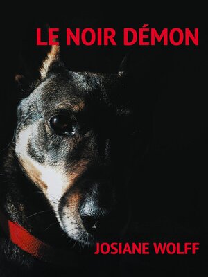 cover image of Le noir démon